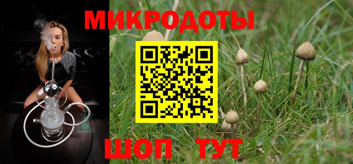 Галлюциногенные грибы мухоморы Великий Новгород